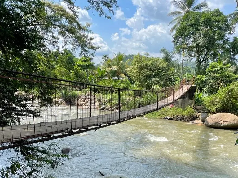 A narrow suspension bridge crossing a flowing river surrounded by dense green trees and tropical vegetation.